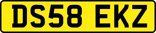 DS58EKZ