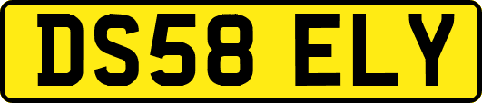 DS58ELY