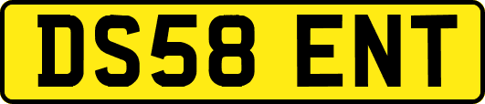 DS58ENT