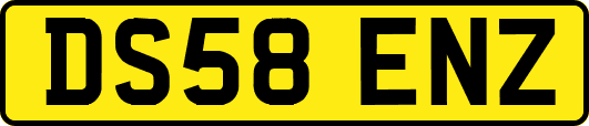 DS58ENZ