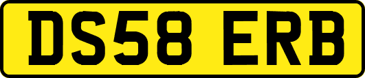 DS58ERB