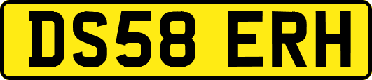 DS58ERH