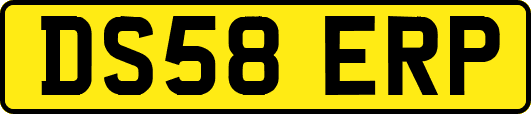 DS58ERP