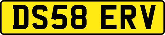 DS58ERV