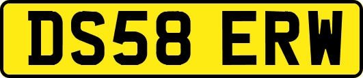 DS58ERW