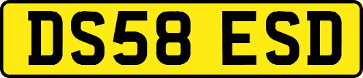 DS58ESD