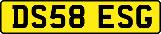 DS58ESG