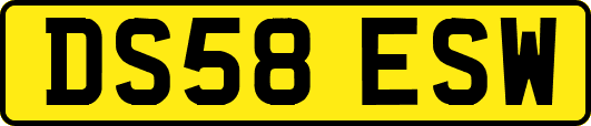 DS58ESW