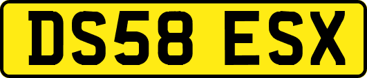 DS58ESX