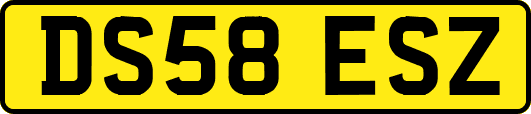 DS58ESZ