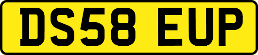 DS58EUP