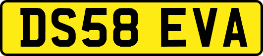 DS58EVA