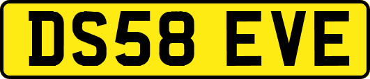 DS58EVE