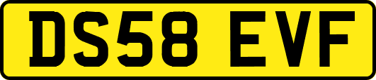 DS58EVF