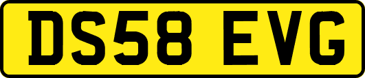 DS58EVG
