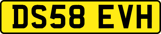 DS58EVH
