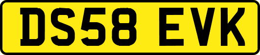 DS58EVK