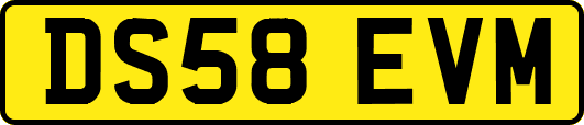DS58EVM