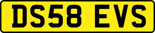 DS58EVS