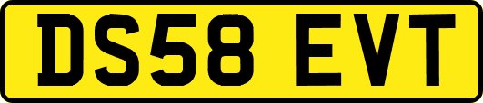 DS58EVT