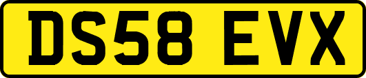 DS58EVX