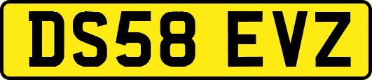 DS58EVZ