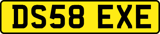 DS58EXE