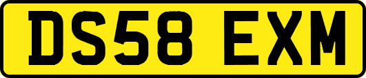 DS58EXM
