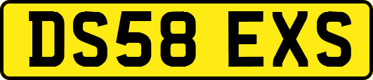 DS58EXS