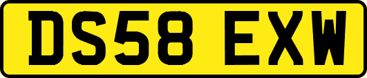 DS58EXW
