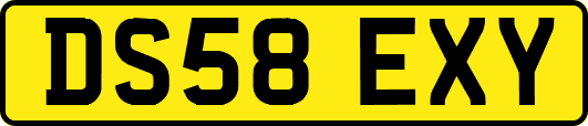DS58EXY