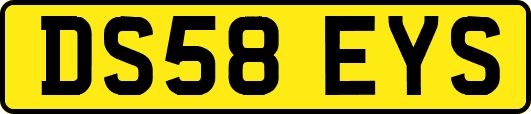 DS58EYS