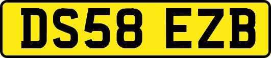 DS58EZB