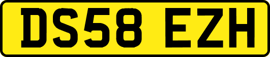 DS58EZH