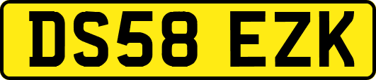 DS58EZK