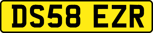 DS58EZR