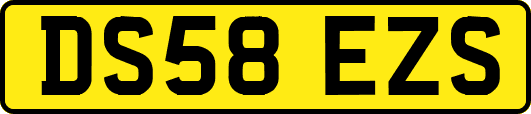 DS58EZS