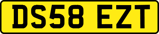 DS58EZT