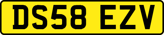 DS58EZV