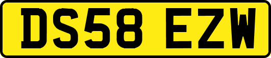 DS58EZW