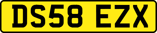 DS58EZX