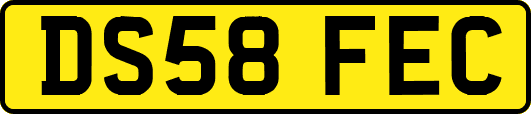 DS58FEC