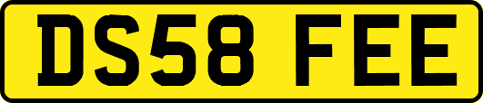 DS58FEE