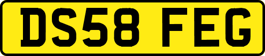 DS58FEG