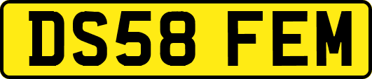 DS58FEM