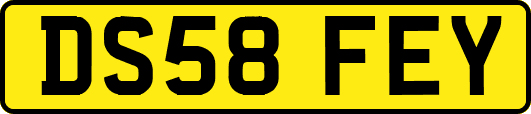 DS58FEY
