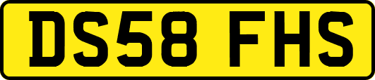 DS58FHS