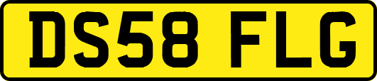 DS58FLG