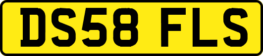 DS58FLS