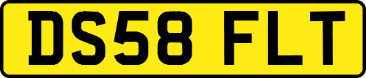 DS58FLT